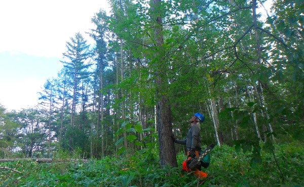 森を受け継ぎ未来へ残す—足寄町森林組合
