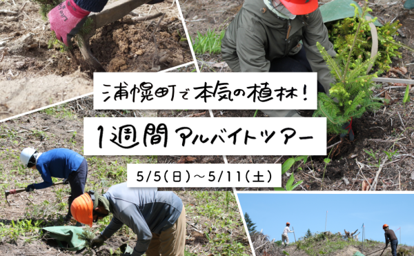 【つつうらうら】浦幌町で本気の植林！1週間アルバイトツアー